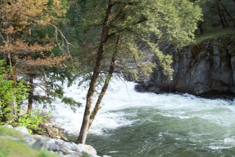 100_1033.jpg