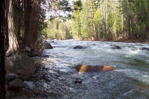 100_1038.jpg