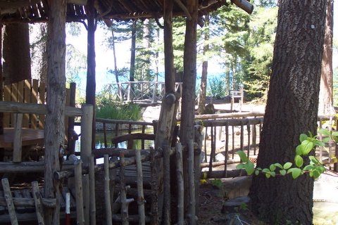 100_1145.jpg