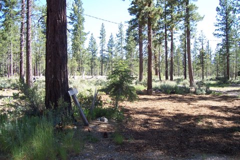 100_1271.jpg