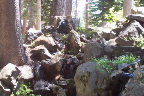 100_1276.jpg
