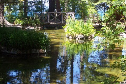100_1277.jpg
