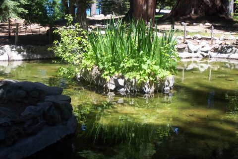 100_1278.jpg