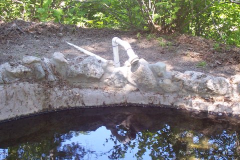 100_1282.jpg