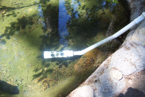 100_1299.jpg
