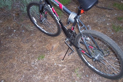 100_13031.jpg