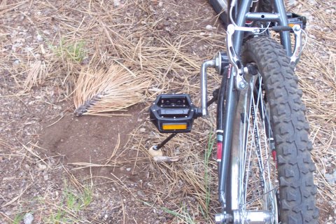 100_1305.jpg