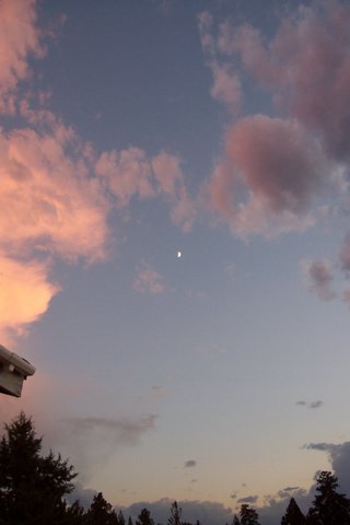100_1371.jpg