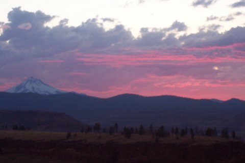 100_1374.jpg