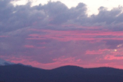 100_1377.jpg
