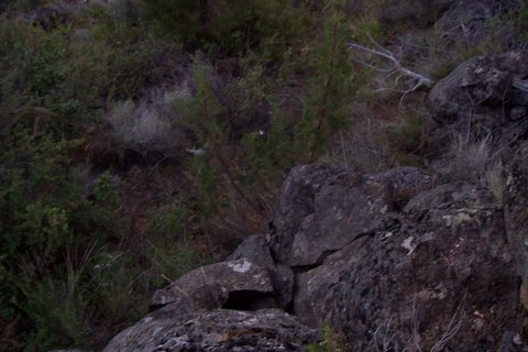 100_1380.jpg