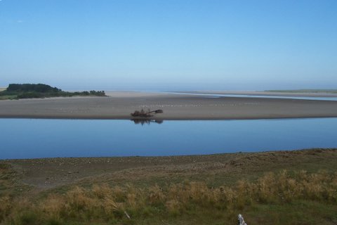 100_1447.jpg