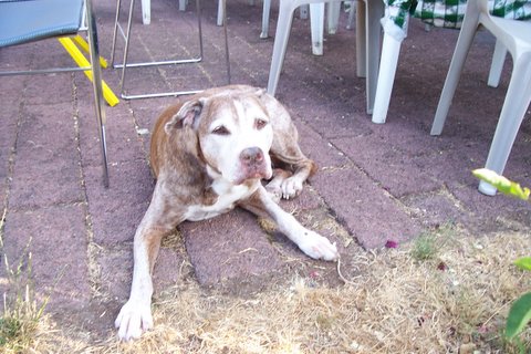 100_1500.jpg