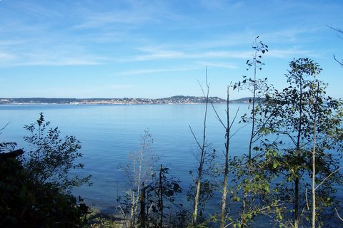 100_1580.jpg