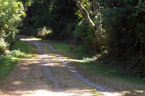 100_1593.jpg