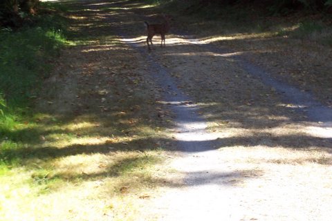 100_1594.jpg