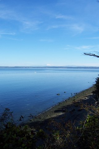 100_1595.jpg