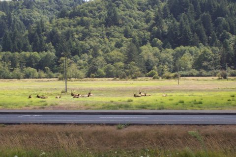 100_1599.jpg