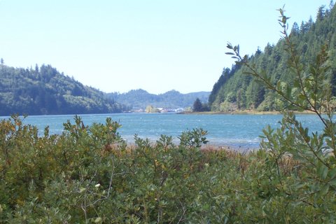 100_1600.jpg
