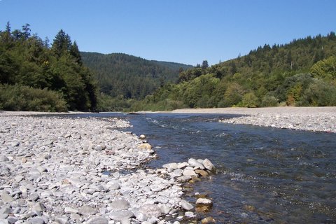 100_1625.jpg
