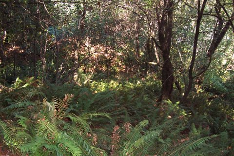 100_1627.jpg