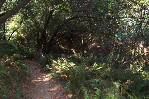 100_1628.jpg