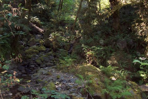 100_1629.jpg
