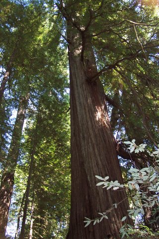 100_1630.jpg
