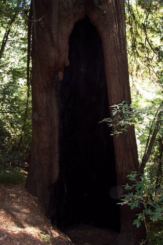 100_1632.jpg