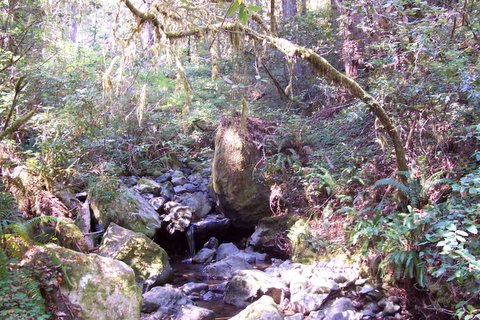 100_1635.jpg
