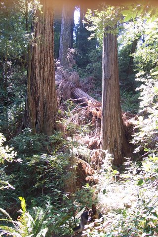 100_1637.jpg