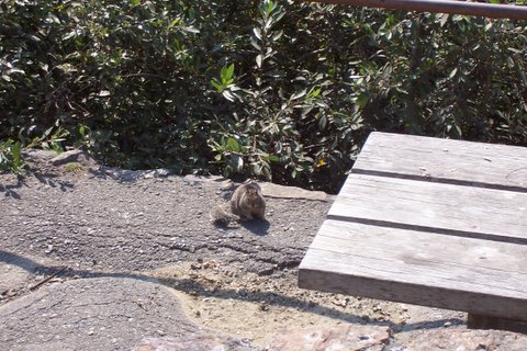 100_1659.jpg