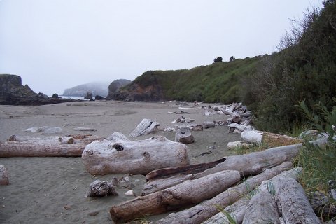 100_1664.jpg