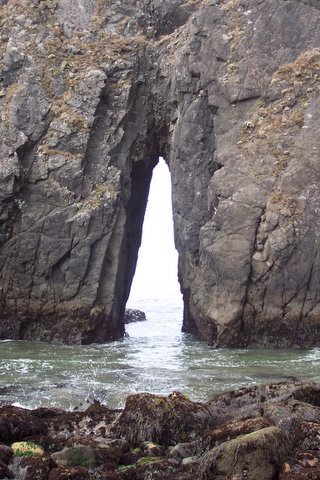 100_1672.jpg