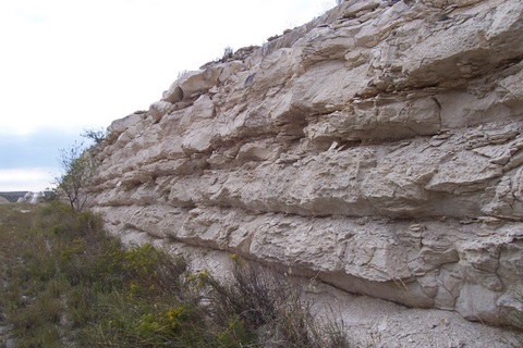 100_1732.jpg