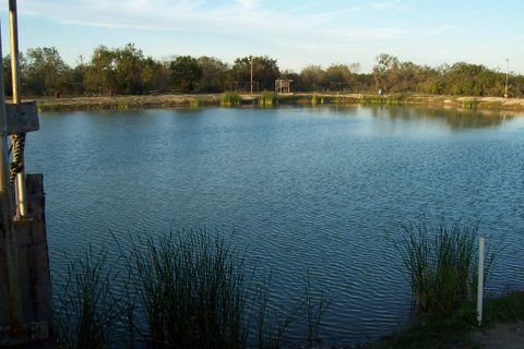 100_1739.jpg