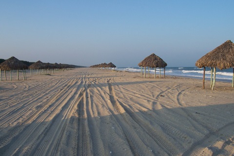 100_1767.jpg