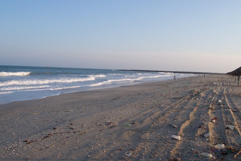 100_1769.jpg