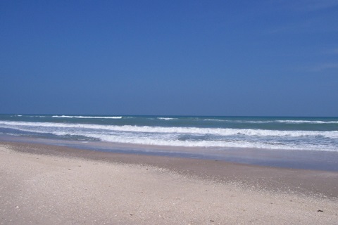 100_1773.jpg