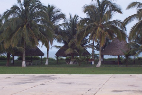 100_1863.jpg