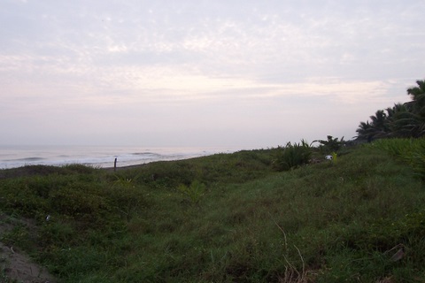 100_1879.jpg