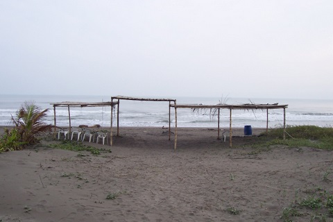 100_1880.jpg