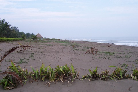 100_1881.jpg