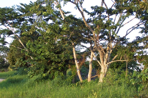 100_2052.jpg