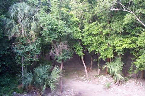 100_2072.jpg