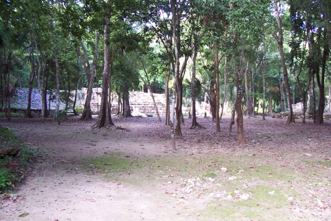 100_2074.jpg