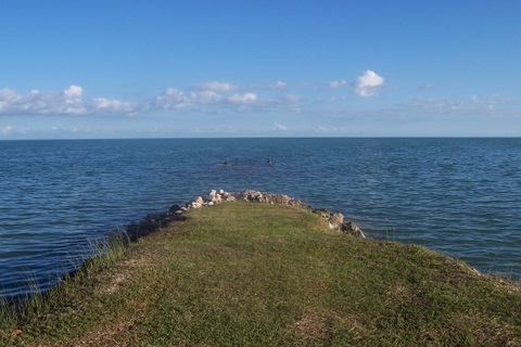 100_2095.jpg