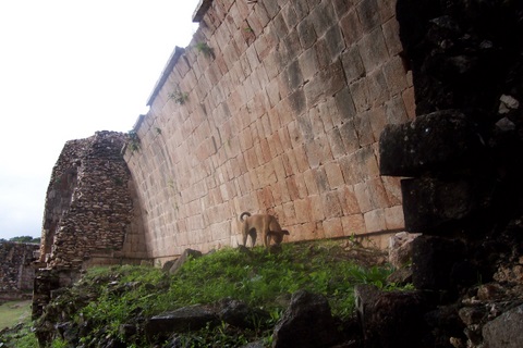 100_2316.jpg