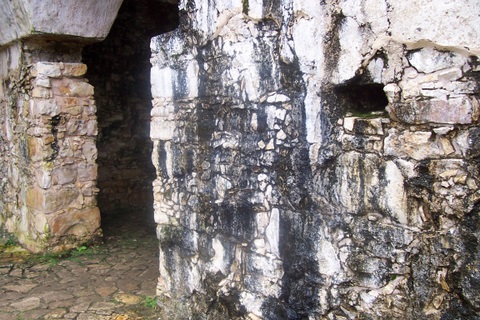 100_2411.jpg