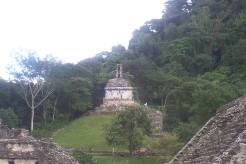 100_2414.jpg
